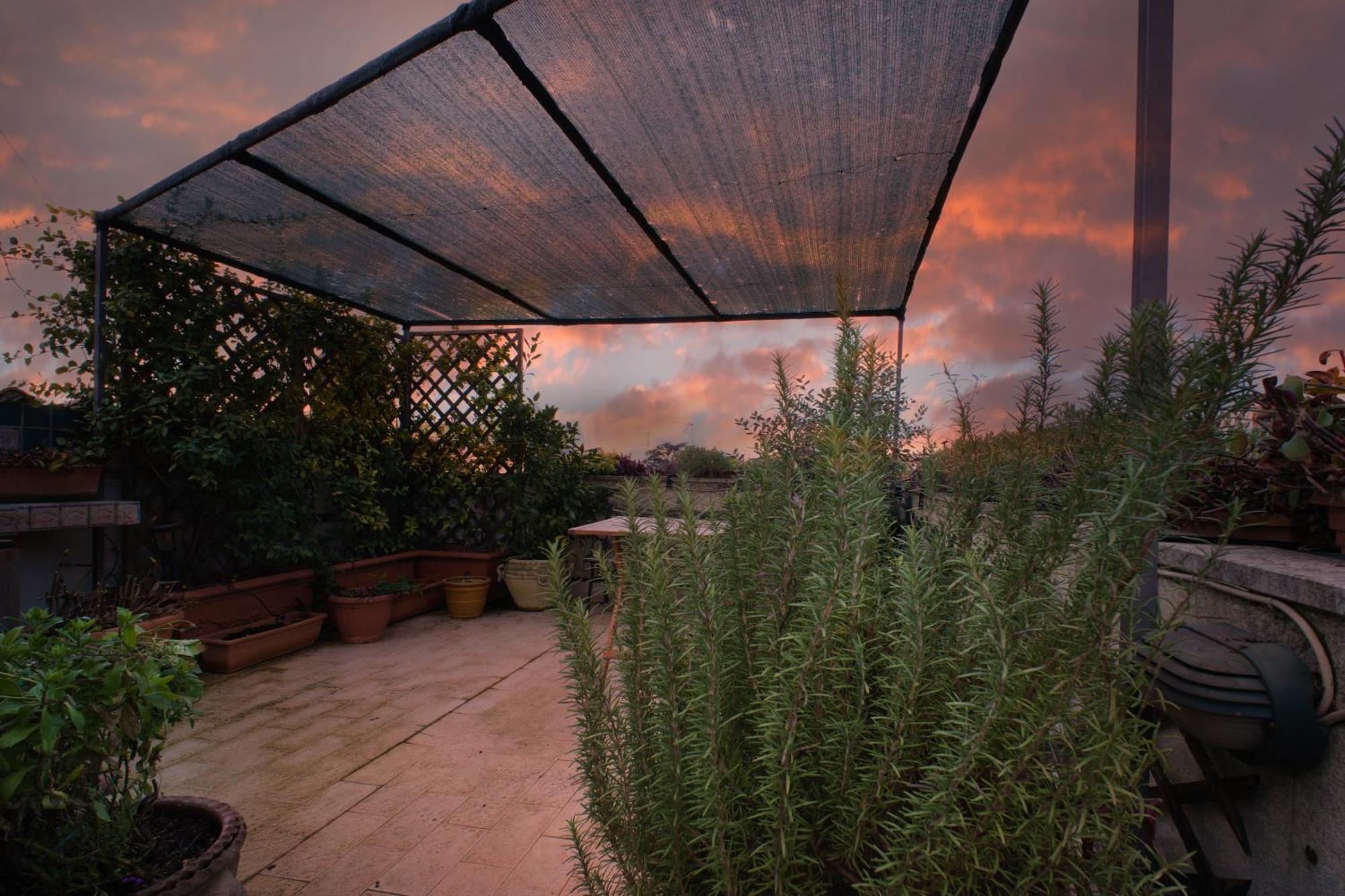 Aurelia Panoramic Terrace